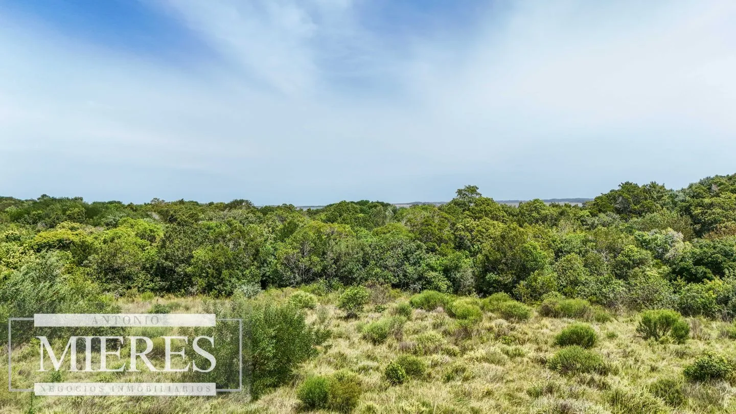 Venta lote 1200m2 en El Caracol, a 10' de jose Ignacio — foto 6