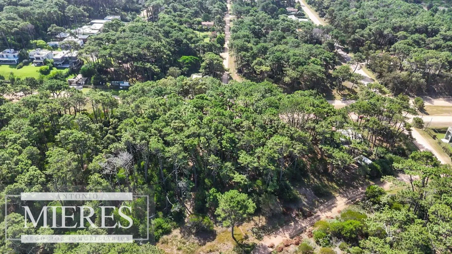 Venta Lote de 8000m2 para altura- Rincón del Indio — foto 18
