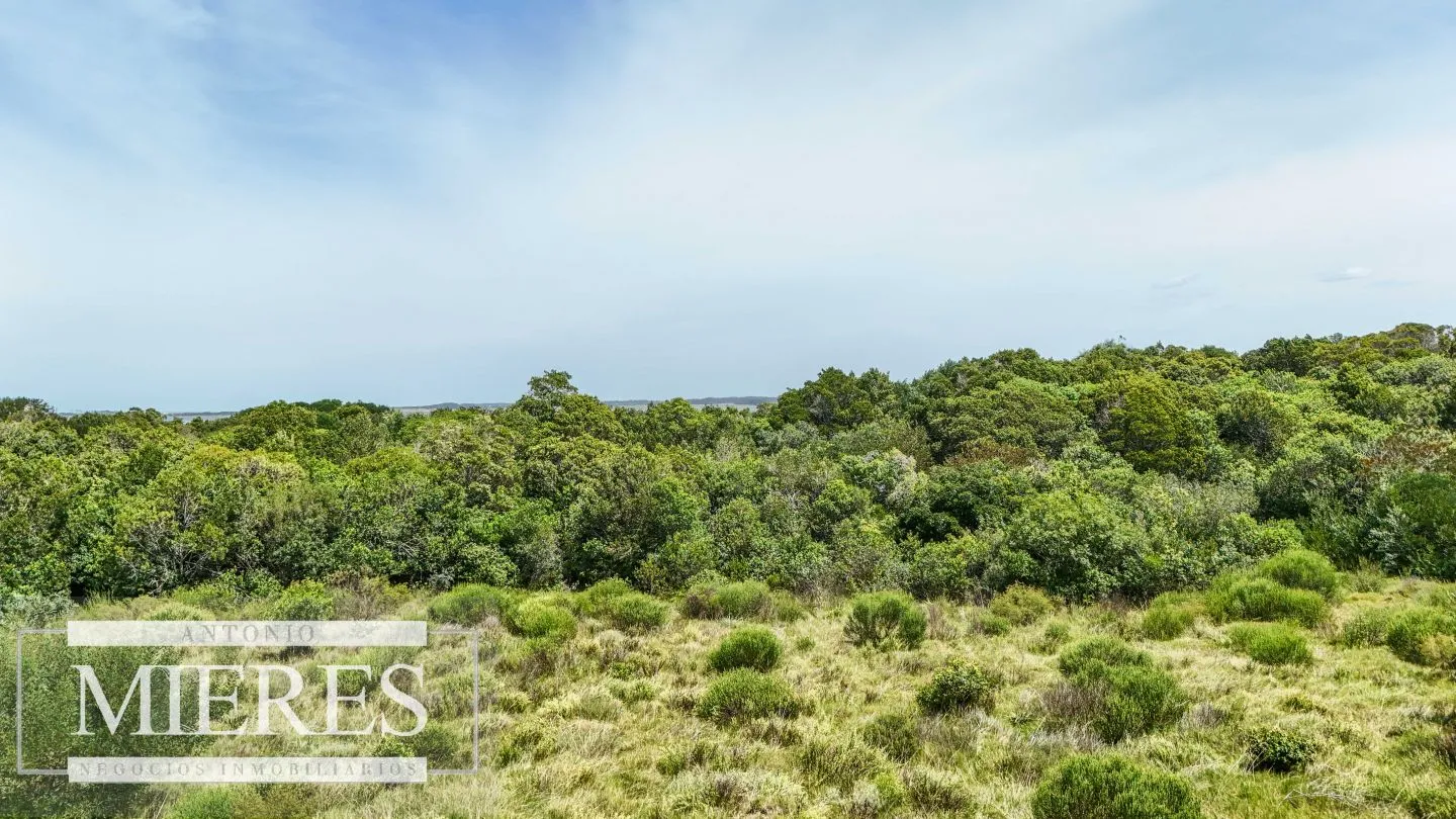 Venta lote 1200m2 en El Caracol, a 10' de jose Ignacio — foto 7