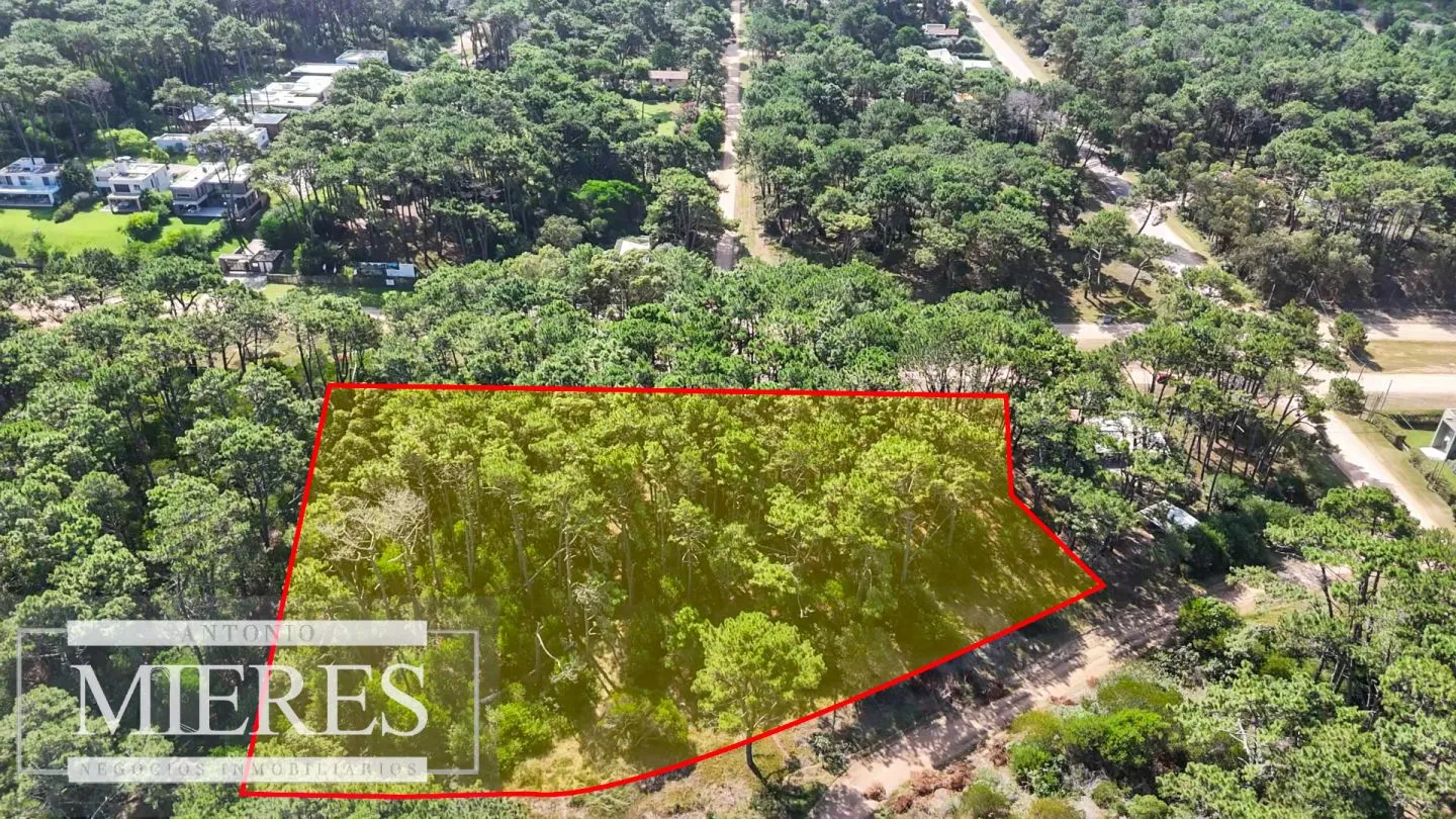 Venta Lote de 8000m2 para altura- Rincón del Indio — foto 19