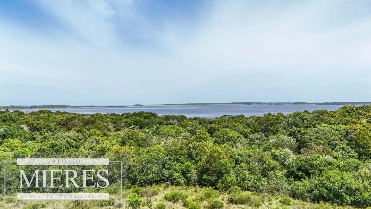 Venta lote 1200m2 en El Caracol, a 10' de jose Ignacio — foto 8