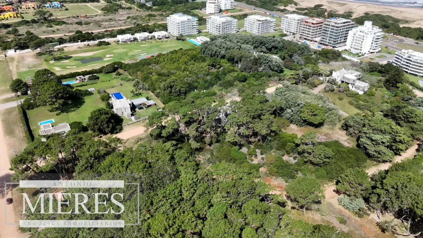 Venta Lote de 8000m2 para altura- Rincón del Indio — foto 22