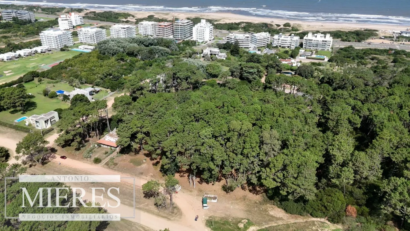 Venta Lote de 8000m2 para altura- Rincón del Indio — foto 23