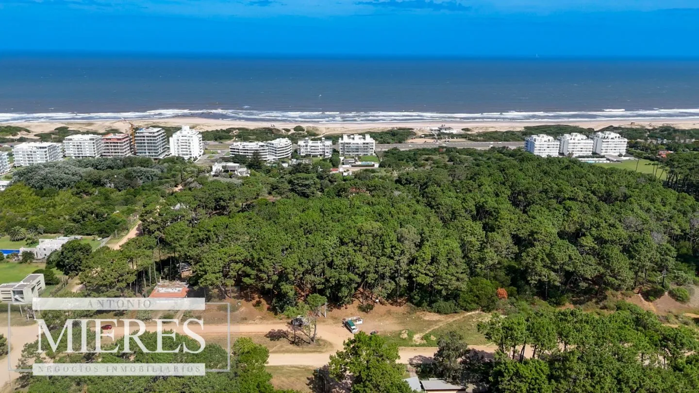 Venta Lote de 8000m2 para altura- Rincón del Indio — foto 24