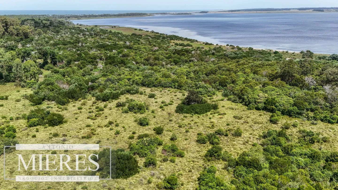 Venta lote 1200m2 en El Caracol, a 10' de jose Ignacio — foto 12
