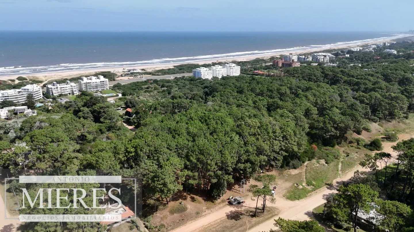 Venta Lote de 8000m2 para altura- Rincón del Indio — foto 25