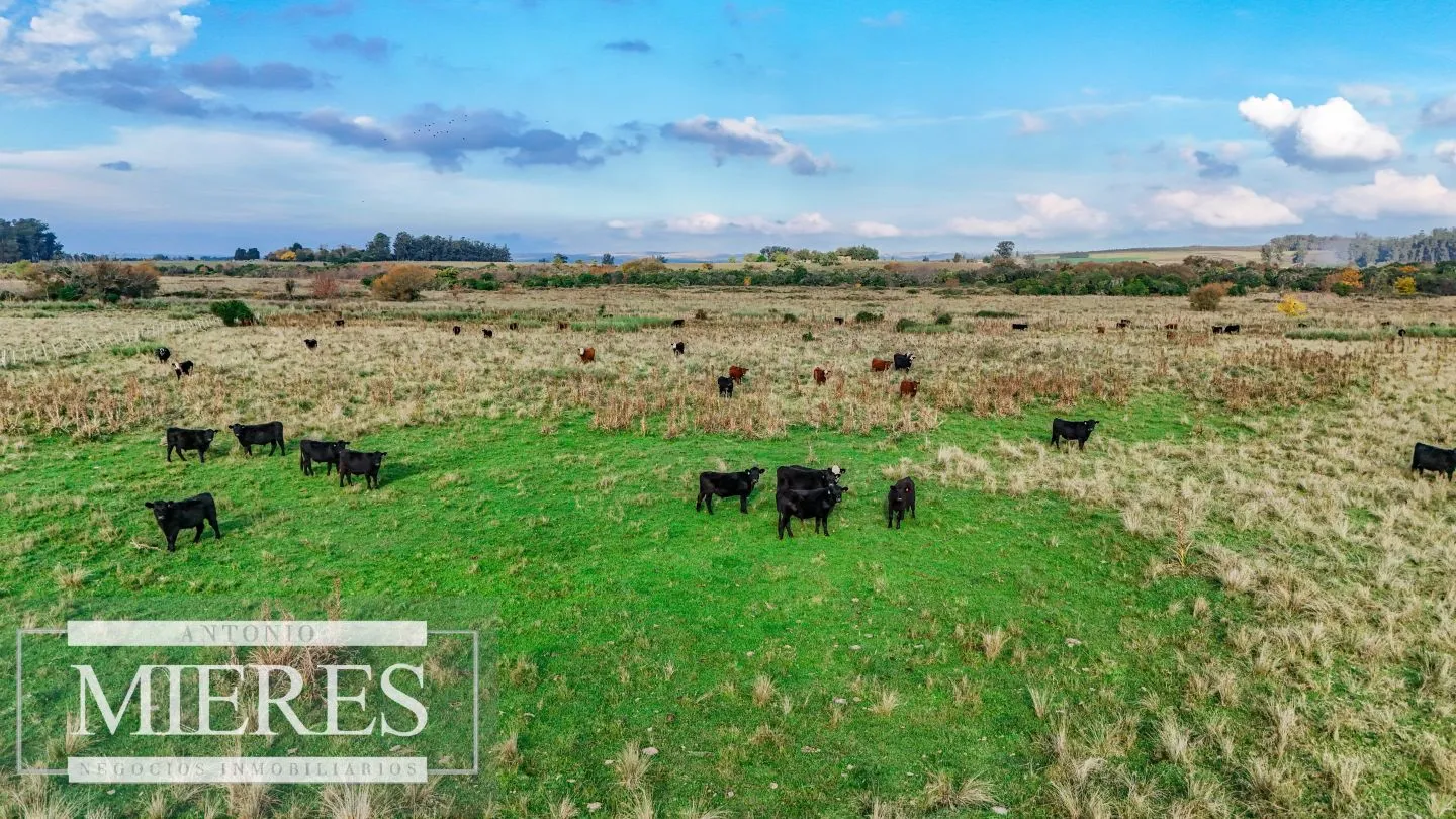 Campo en venta de 68 ha sobre ruta 39 — foto 1