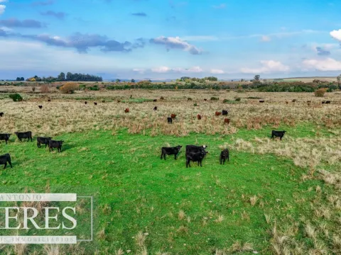 Campo en venta de 68 ha sobre ruta 39