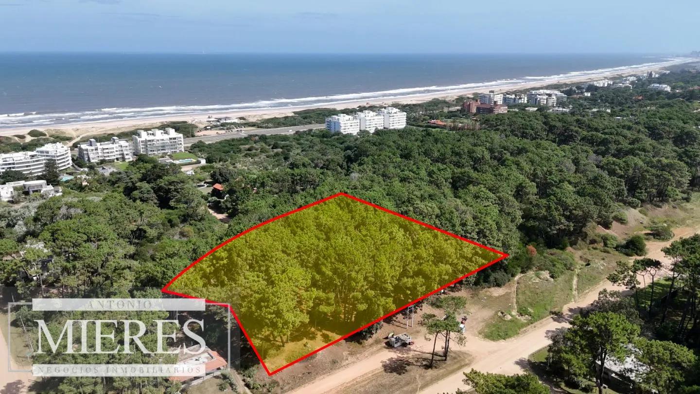 Venta Lote de 8000m2 para altura- Rincón del Indio — foto 26