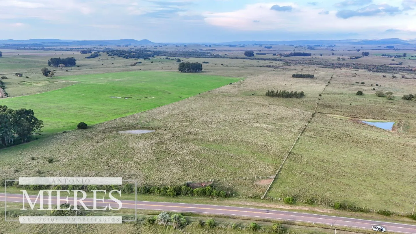 Campo en venta de 68 ha sobre ruta 39 — foto 2