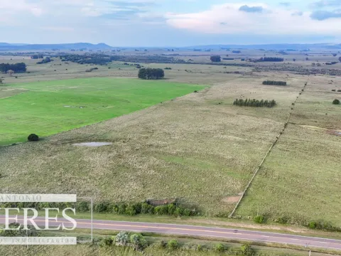 Campo en venta de 68 ha sobre ruta 39 — foto 2