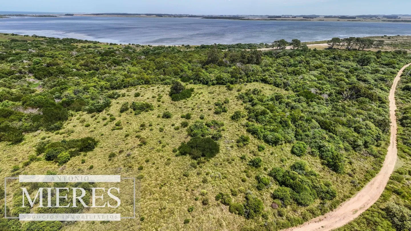 Venta lote 1200m2 en El Caracol, a 10' de jose Ignacio — foto 14
