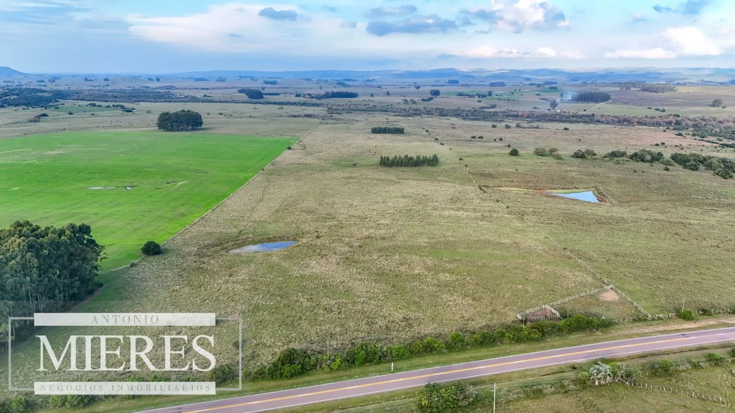 Campo en venta de 68 ha sobre ruta 39 — foto 3