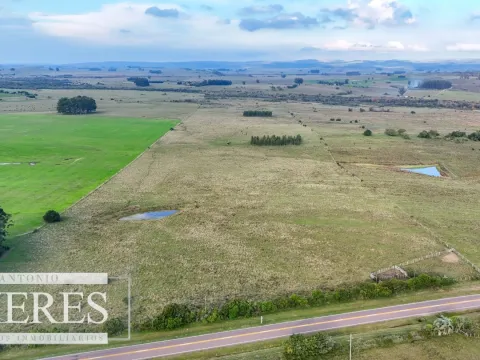 Campo en venta de 68 ha sobre ruta 39 — foto 3
