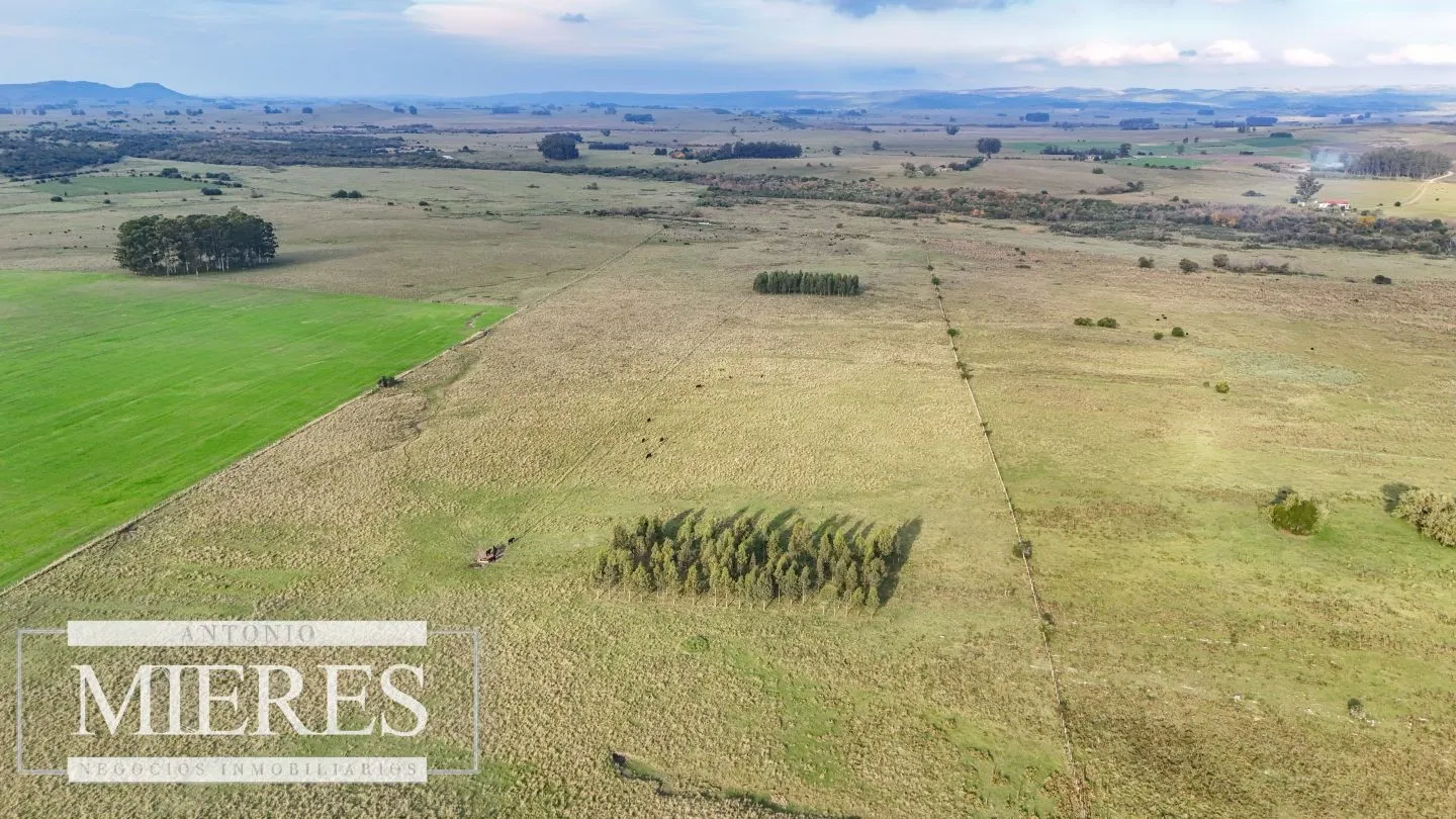 Campo en venta de 68 ha sobre ruta 39 — foto 4