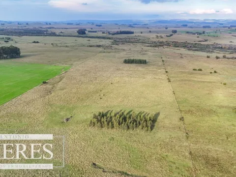Campo en venta de 68 ha sobre ruta 39 — foto 4