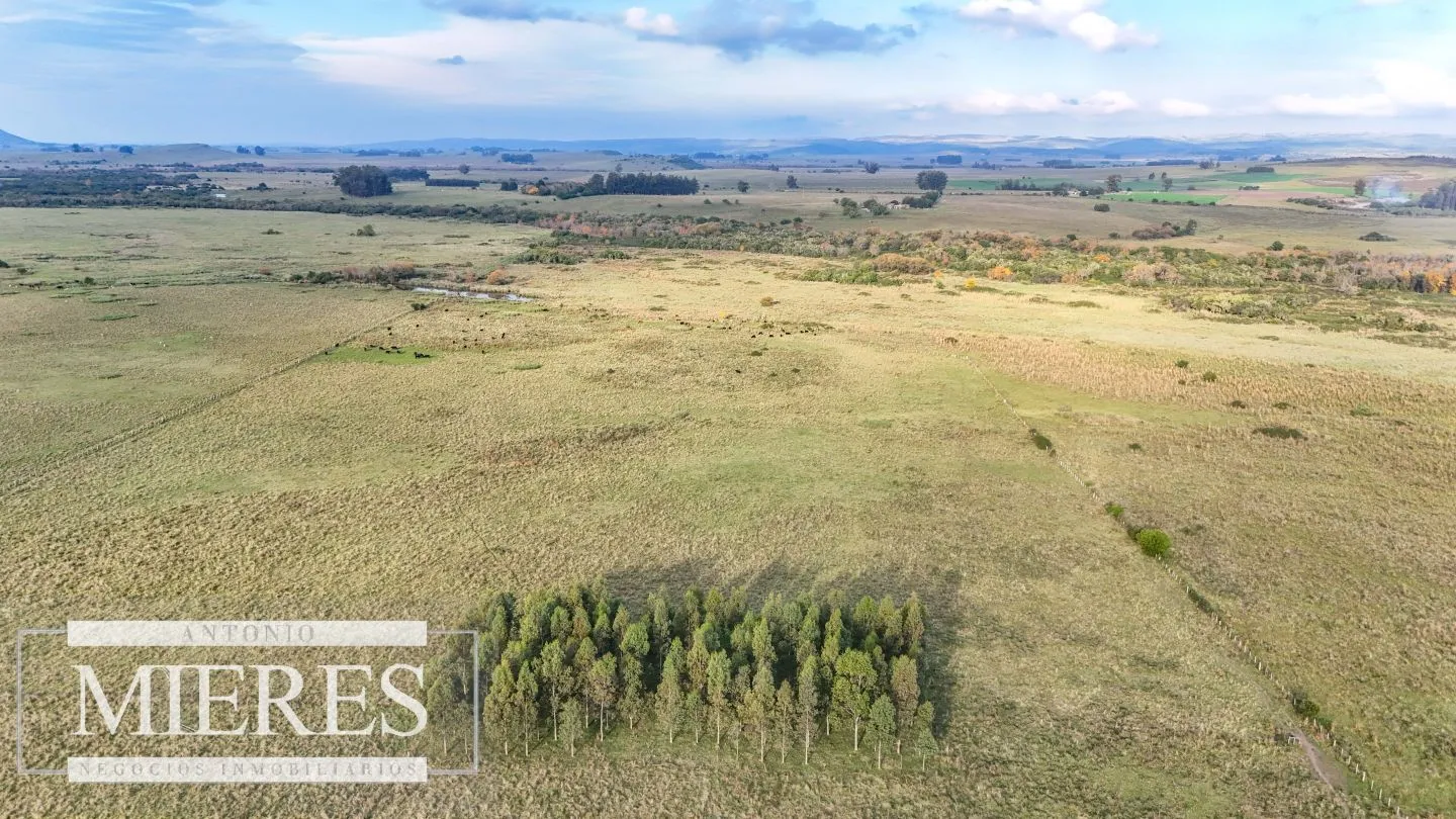Campo en venta de 68 ha sobre ruta 39 — foto 5