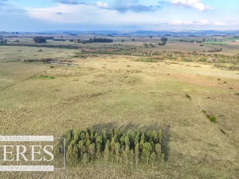 Campo en venta de 68 ha sobre ruta 39 — foto 5