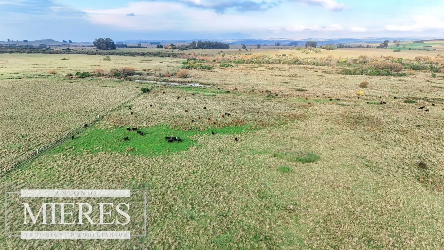 Campo en venta de 68 ha sobre ruta 39 — foto 6