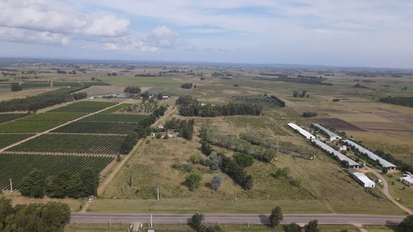 Campo en venta de 55 ha Canelones — foto 2