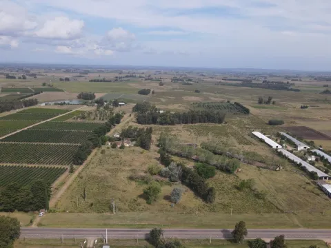 Campo en venta de 55 ha Canelones — foto 2