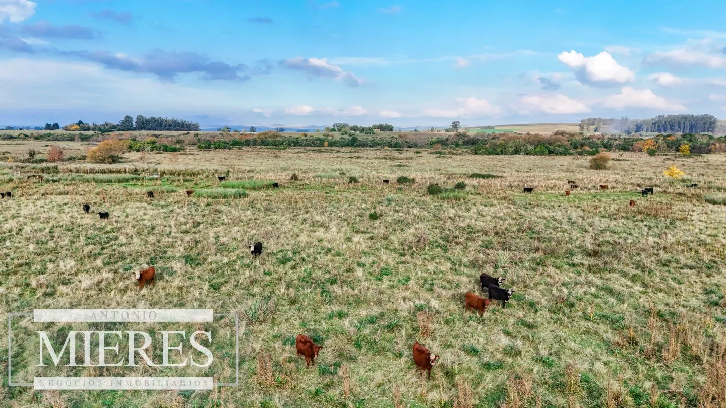Campo en venta de 68 ha sobre ruta 39 — foto 7