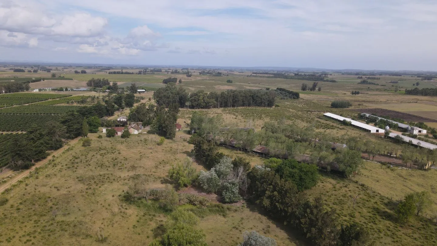 Campo en venta de 55 ha Canelones — foto 3