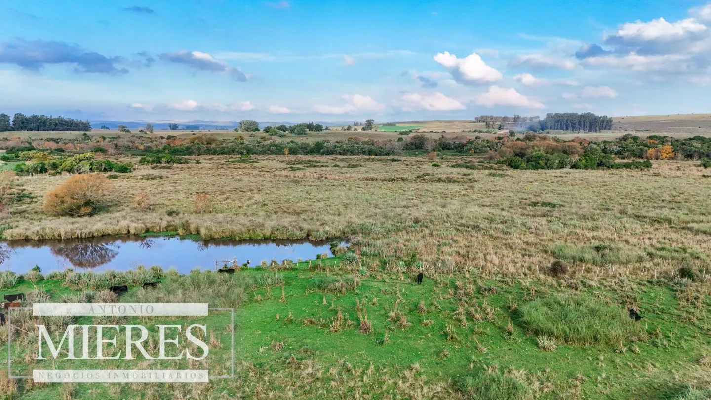Campo en venta de 68 ha sobre ruta 39 — foto 8