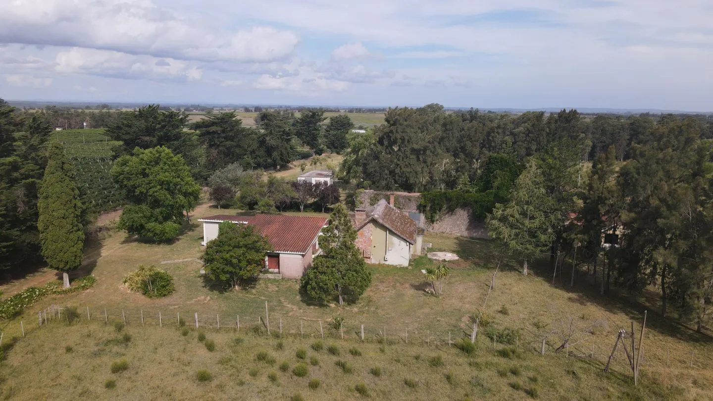 Campo en venta de 55 ha Canelones — foto 4
