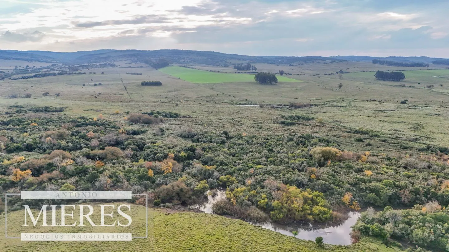 Campo en venta de 68 ha sobre ruta 39 — foto 9