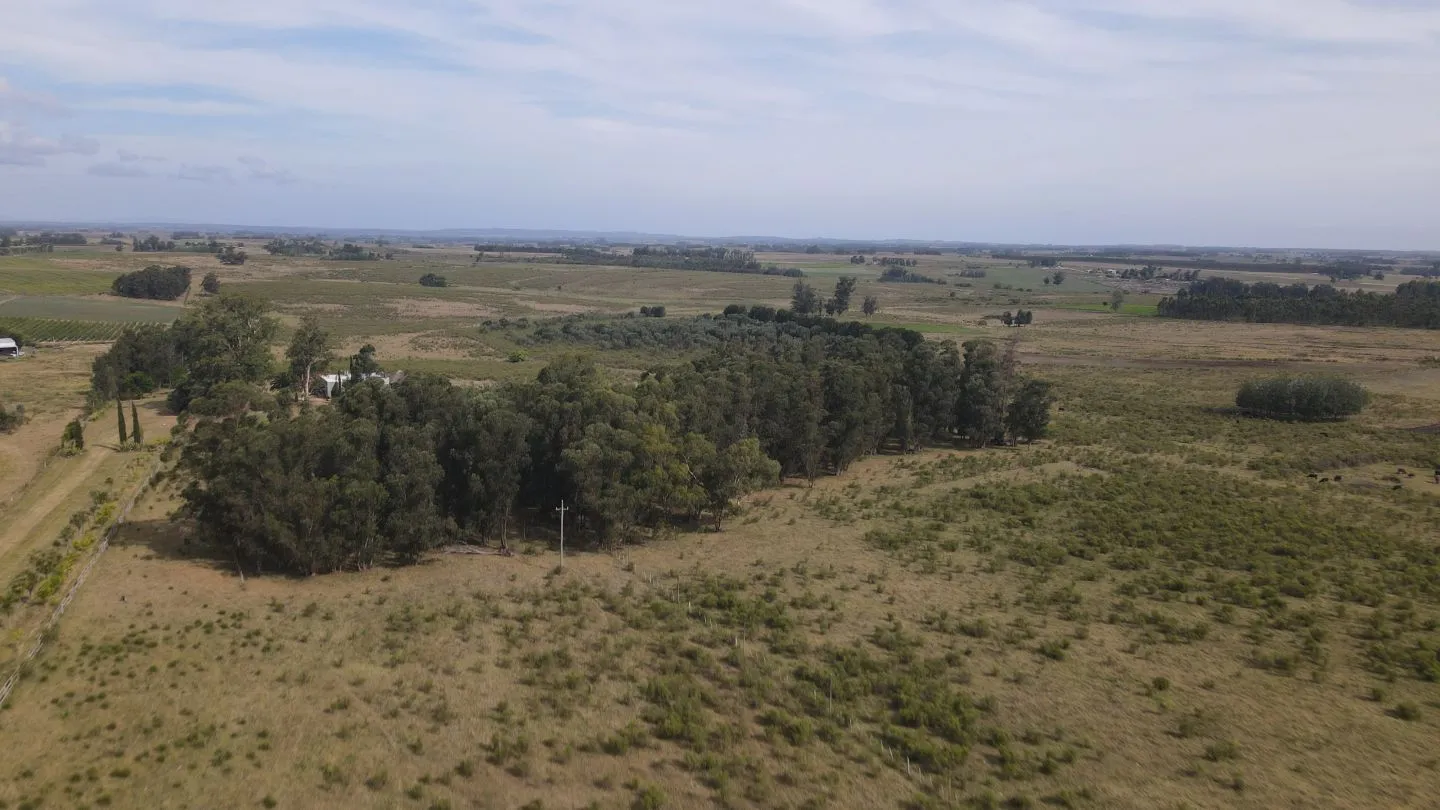 Campo en venta de 55 ha Canelones — foto 5