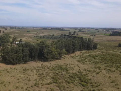 Campo en venta de 55 ha Canelones — foto 5
