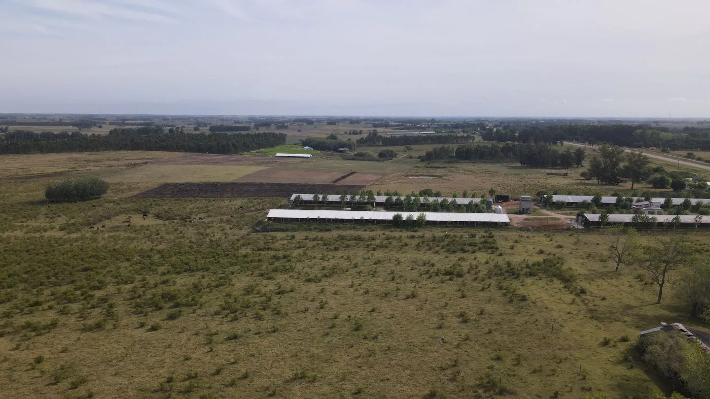 Campo en venta de 55 ha Canelones — foto 6