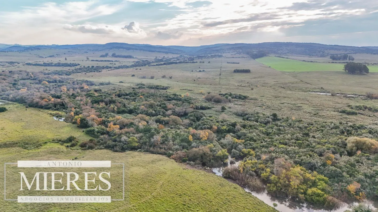 Campo en venta de 68 ha sobre ruta 39 — foto 10