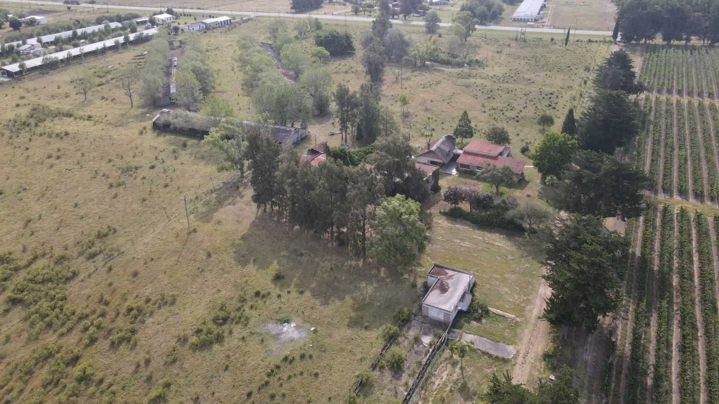 Campo en venta de 55 ha Canelones — foto 7