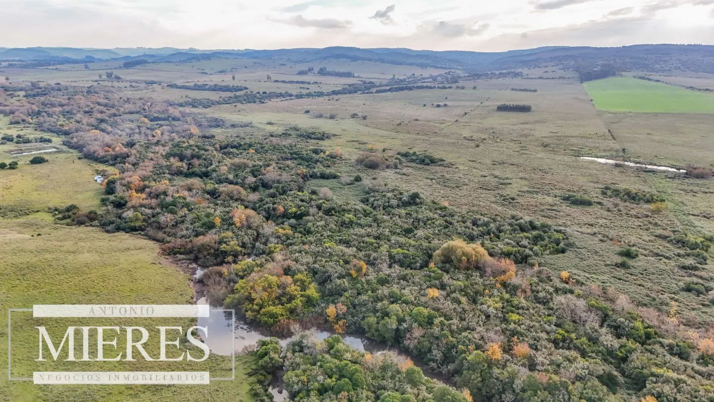 Campo en venta de 68 ha sobre ruta 39 — foto 11