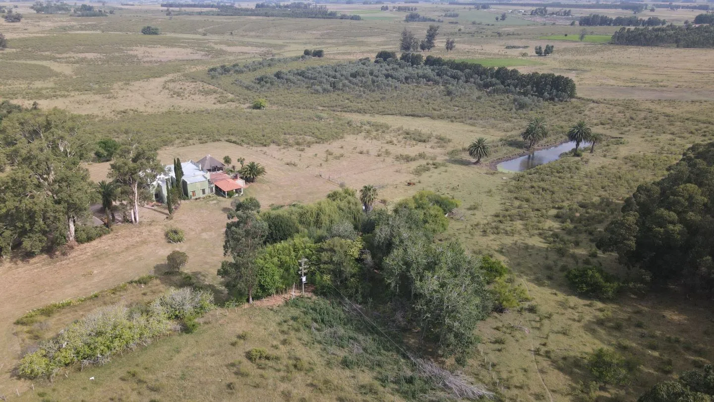 Campo en venta de 55 ha Canelones — foto 8