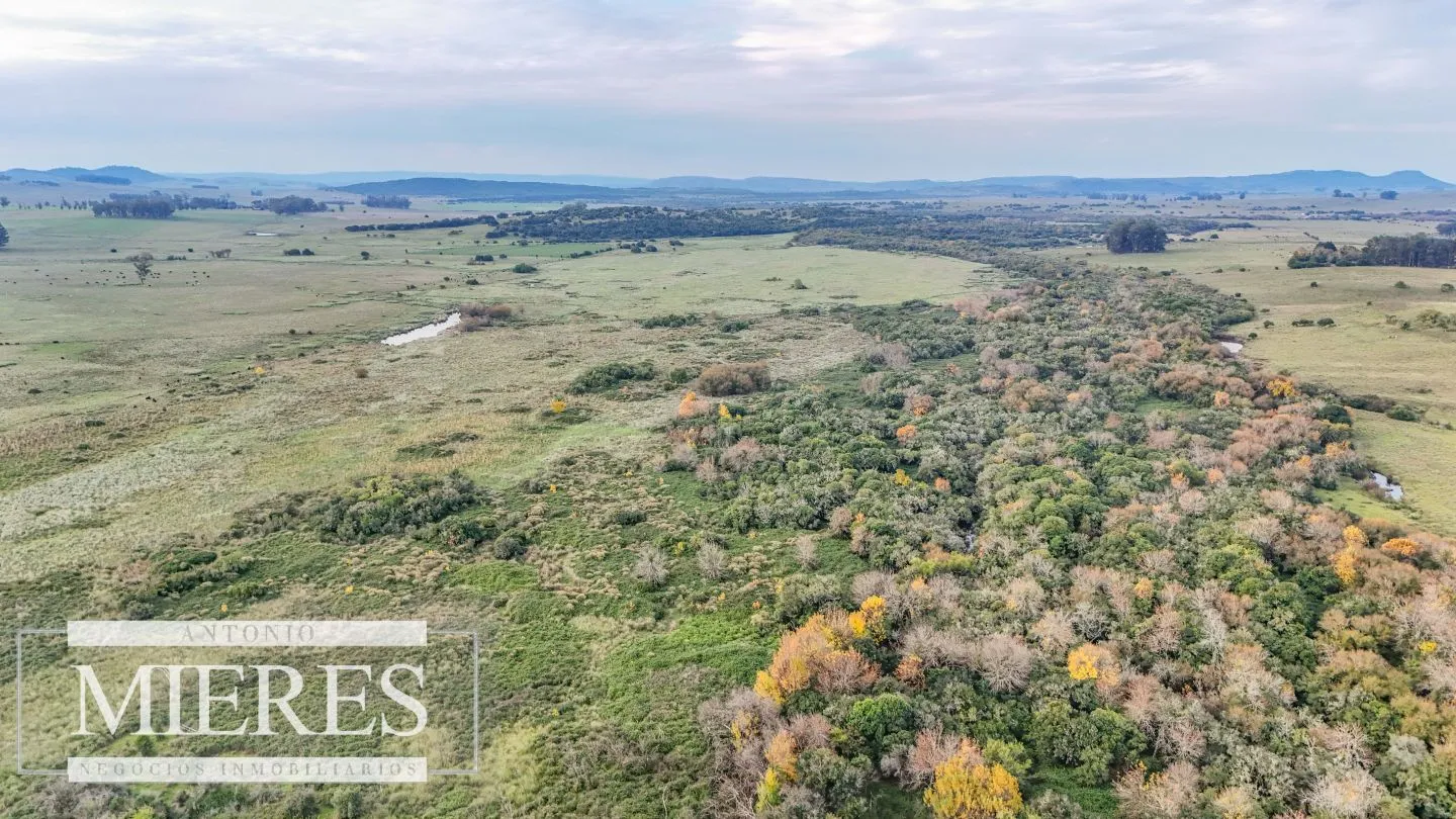 Campo en venta de 68 ha sobre ruta 39 — foto 12