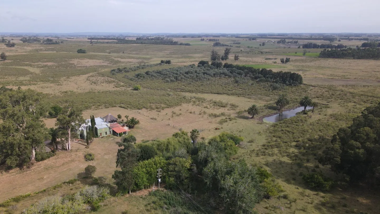 Campo en venta de 55 ha Canelones — foto 9