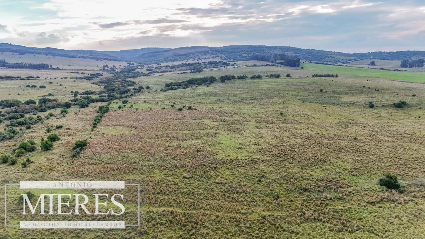 Campo en venta de 68 ha sobre ruta 39 — foto 13