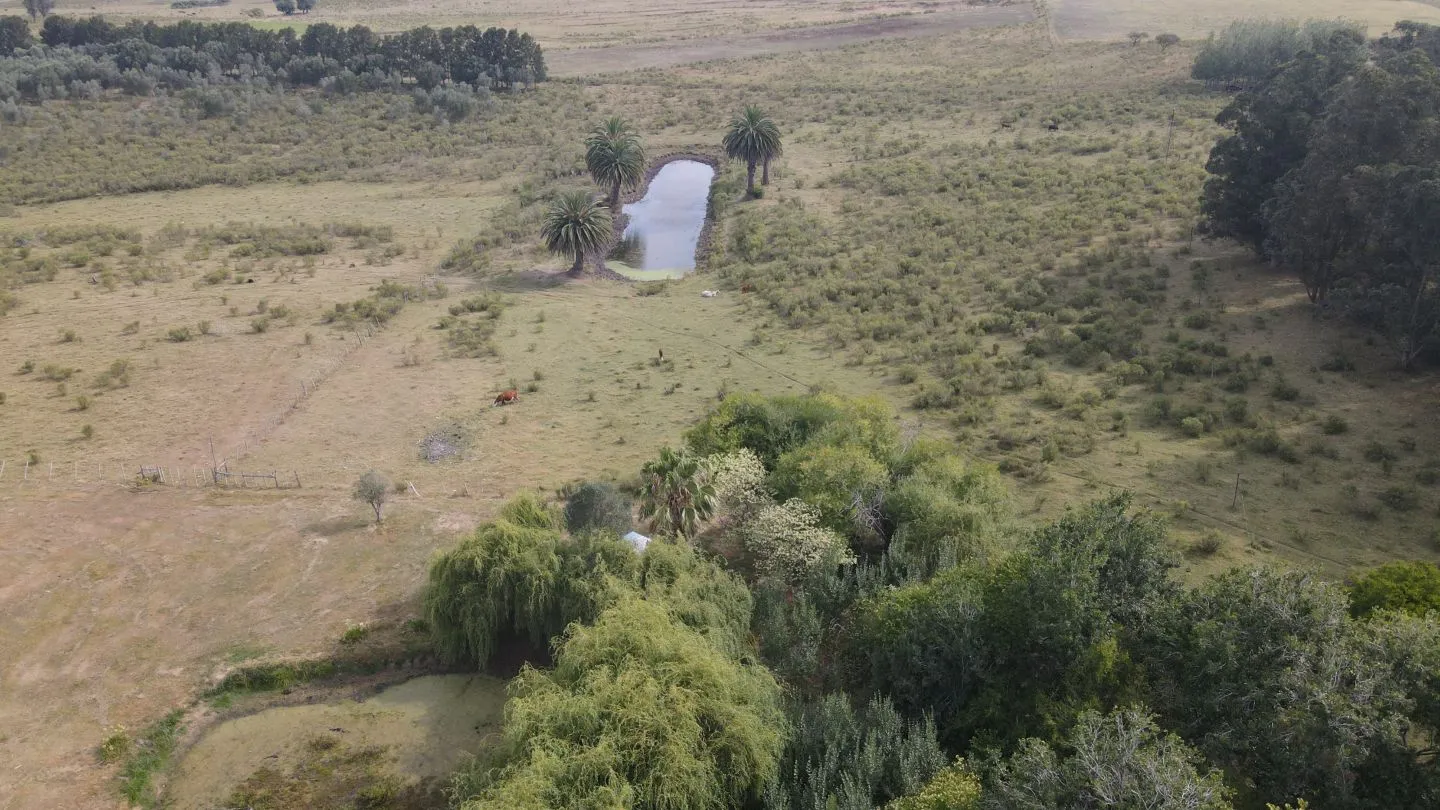 Campo en venta de 55 ha Canelones — foto 10