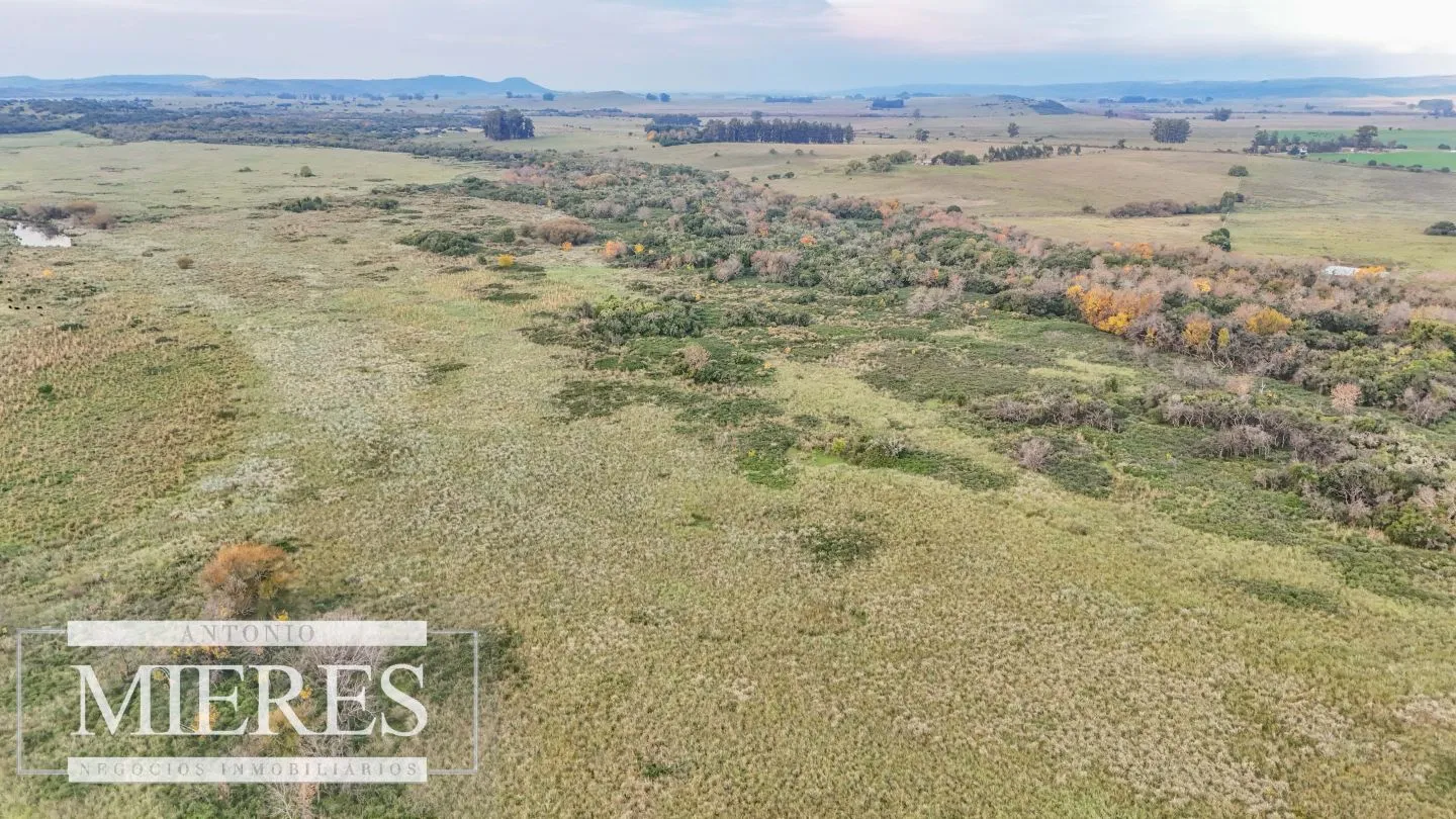 Campo en venta de 68 ha sobre ruta 39 — foto 14
