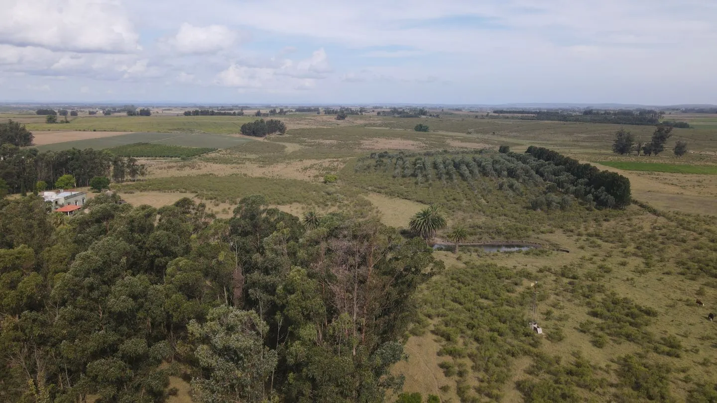 Campo en venta de 55 ha Canelones — foto 11