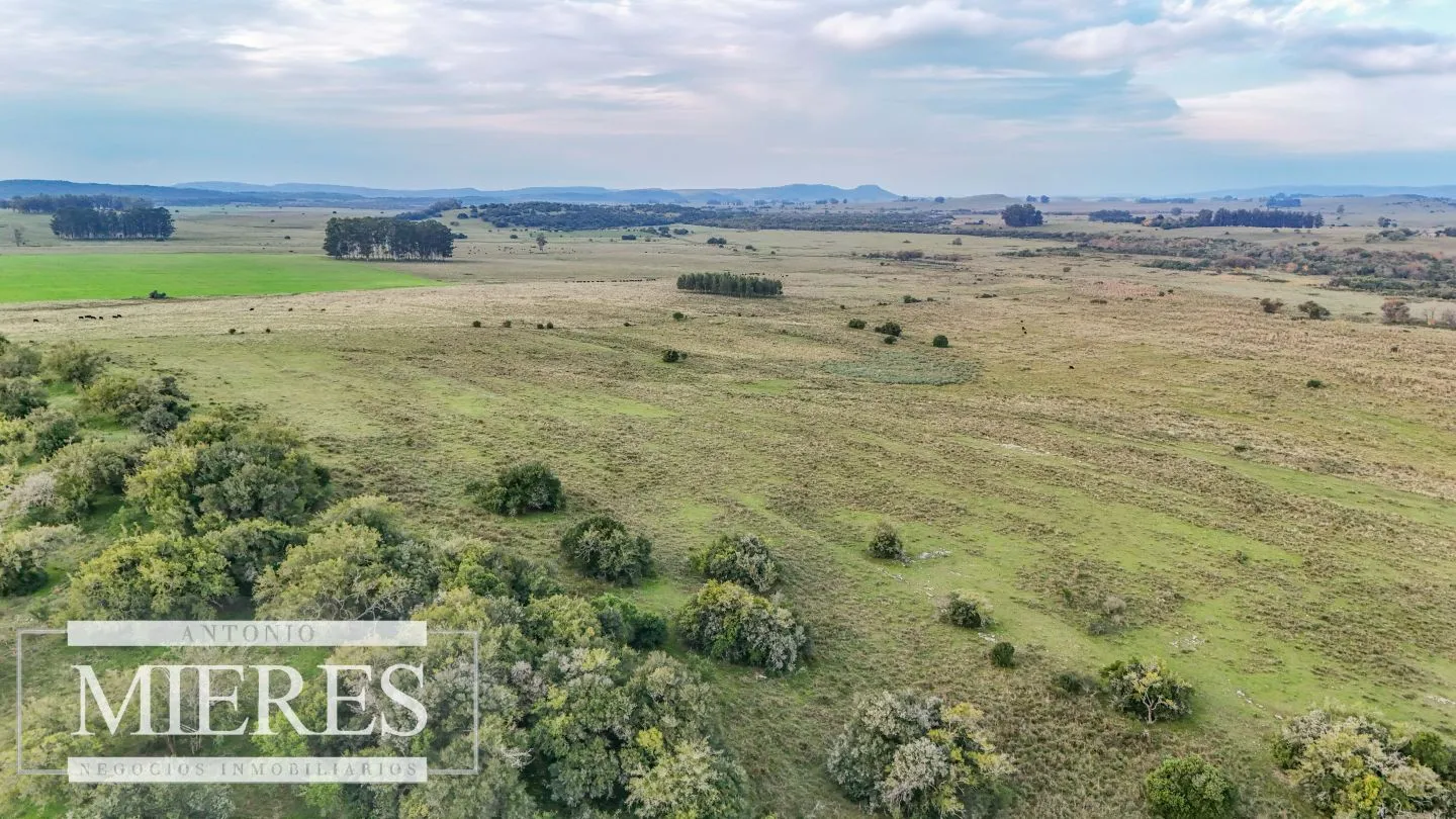 Campo en venta de 68 ha sobre ruta 39 — foto 15