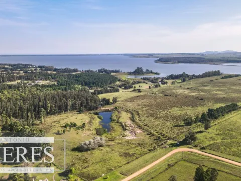 Chacra de 10ha en Laguna del Sauce Maldonado — foto 3