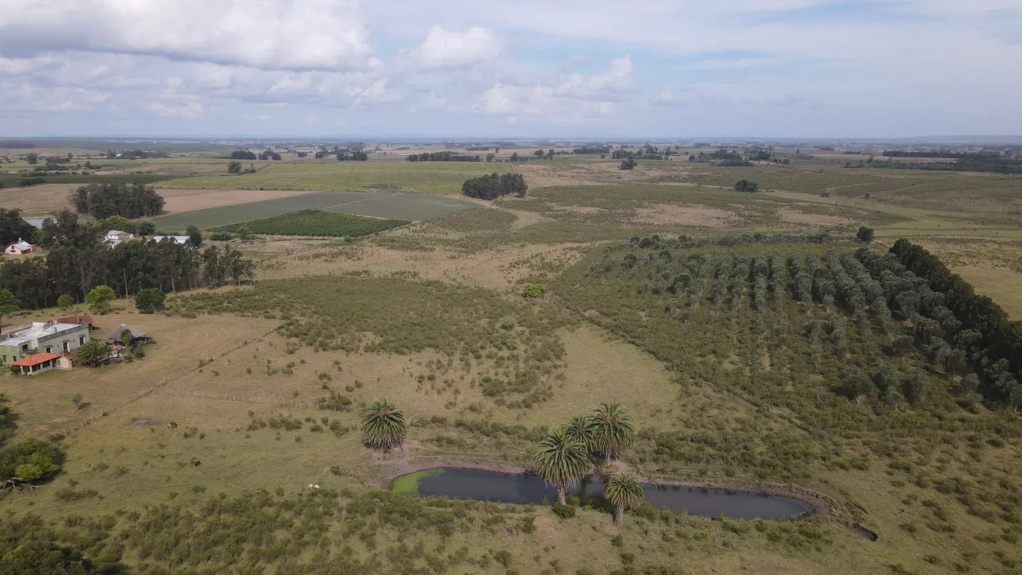Campo en venta de 55 ha Canelones — foto 12