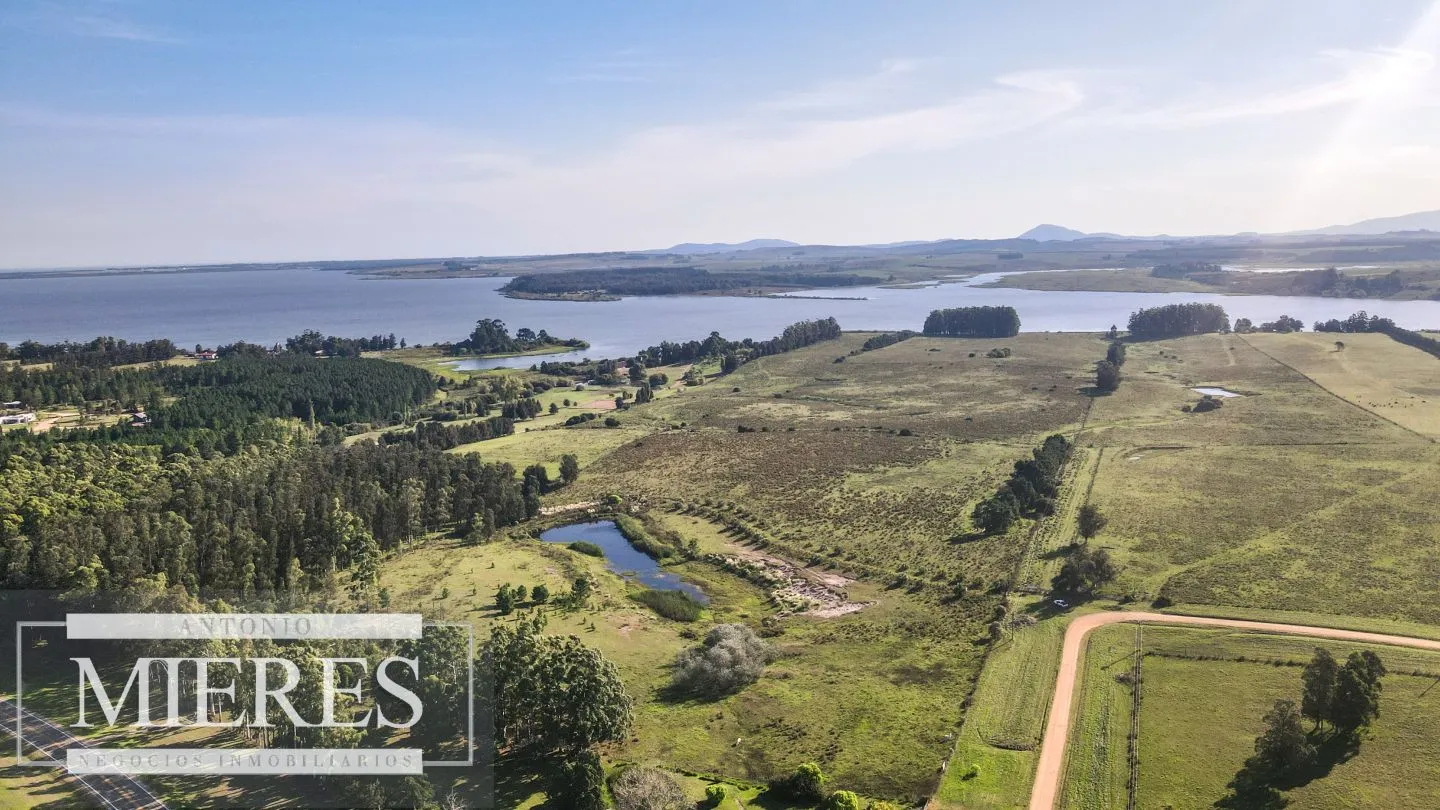 Chacra de 10ha en Laguna del Sauce Maldonado — foto 4