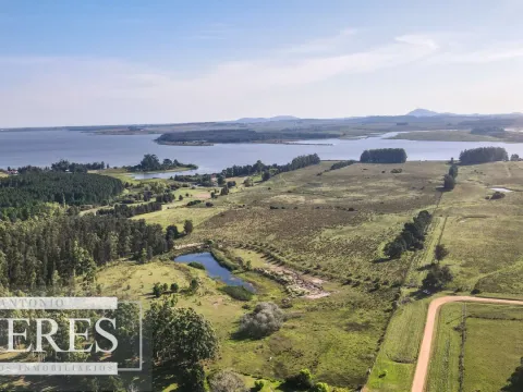 Chacra de 10ha en Laguna del Sauce Maldonado — foto 4