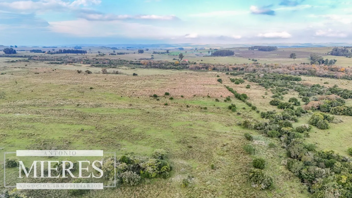 Campo en venta de 68 ha sobre ruta 39 — foto 16