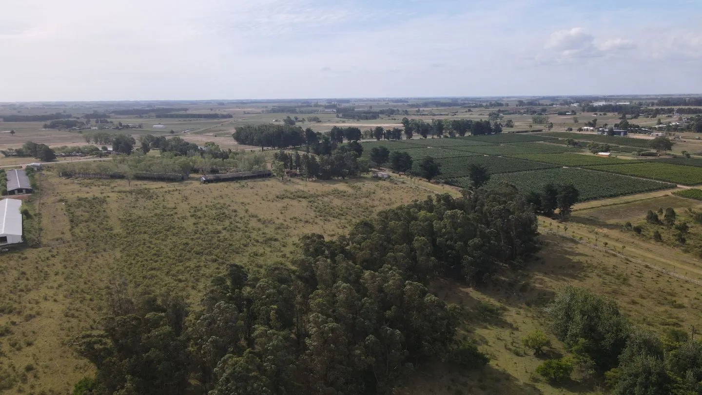 Campo en venta de 55 ha Canelones — foto 13